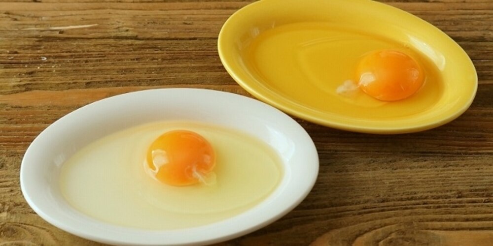 手軽に食べられる卵。実は美容食材だったって本当!?
